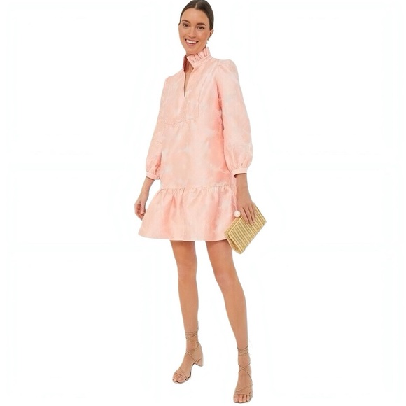 Tuckernuck Dresses & Skirts - Tuckernuck Palmerston Bellini Pink Coupé Jacquard Puff Sleeve Mini Dress L